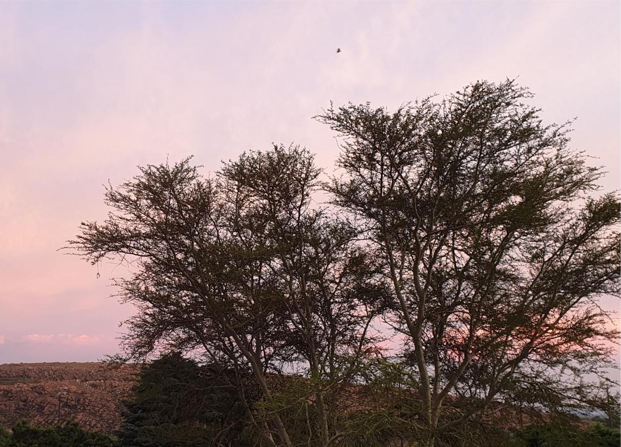 Hadeda Hall Johannesburg Buitenkant foto